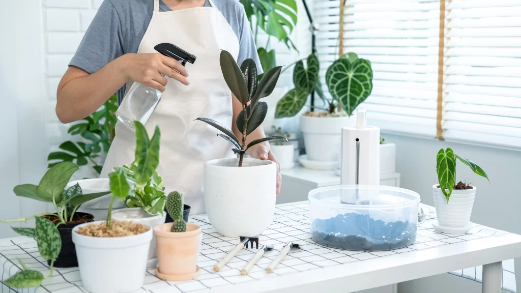 Merawat Jenis Bunga Pot Populer